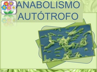 ANABOLISMO
AUTÓTROFO
 