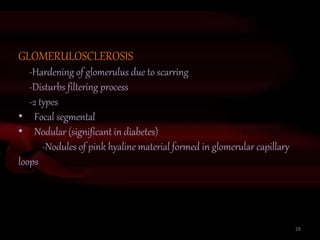 GLOMERULOSCLEROSIS
-Hardening of glomerulus due to scarring
-Disturbs filtering process
-2 types
• Focal segmental
• Nodular (significant in diabetes)
-Nodules of pink hyaline material formed in glomerular capillary
loops
28
 