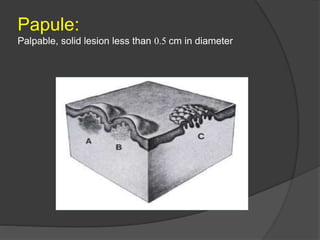 1. Basic structures and functions of skin | PPTX