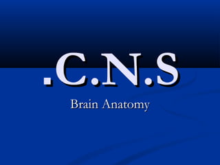 C.N.SC.N.S.. Brain AnatomyBrain Anatomy
 