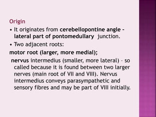 Origin
• It originates from cerebellopontine angle –
lateral part of pontomedullary junction.
• Two adjacent roots:
motor root (larger, more medial);
nervus intermedius (smaller, more lateral) – so
called because it is found between two larger
nerves (main root of VII and VIII). Nervus
intermedius conveys parasympathetic and
sensory fibres and may be part of VIII initially.
 