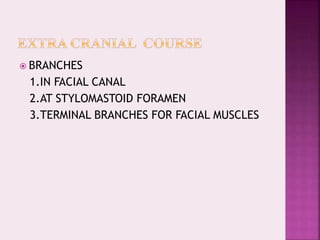  BRANCHES
1.IN FACIAL CANAL
2.AT STYLOMASTOID FORAMEN
3.TERMINAL BRANCHES FOR FACIAL MUSCLES
 