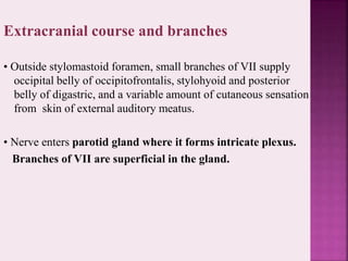Extracranial course and branches
• Outside stylomastoid foramen, small branches of VII supply
occipital belly of occipitofrontalis, stylohyoid and posterior
belly of digastric, and a variable amount of cutaneous sensation
from skin of external auditory meatus.
• Nerve enters parotid gland where it forms intricate plexus.
Branches of VII are superficial in the gland.
 