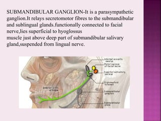 SUBMANDIBULAR GANGLION-It is a parasympathetic
ganglion.It relays secretomotor fibres to the submandibular
and sublingual glands.functionally connected to facial
nerve,lies superficial to hyoglossus
muscle just above deep part of submandibular salivary
gland,suspended from lingual nerve.
 