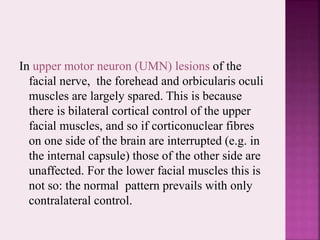In upper motor neuron (UMN) lesions of the
facial nerve, the forehead and orbicularis oculi
muscles are largely spared. This is because
there is bilateral cortical control of the upper
facial muscles, and so if corticonuclear fibres
on one side of the brain are interrupted (e.g. in
the internal capsule) those of the other side are
unaffected. For the lower facial muscles this is
not so: the normal pattern prevails with only
contralateral control.
 