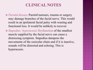  Parotid disease:Parotid tumours, trauma or surgery
may damage branches of the facial nerve. This would
result in an ipsilateral facial palsy with wasting and
functional loss. It would be unlikely to recover.
 Stapedius: hyperacusis Dysfunction of the smallest
muscle supplied by the facial nerve can cause a
distressing symptom. Stapedius dampens the
movements of the ossicular chain and if it is inactive,
sounds will be distorted and echoing. This is
hyperacusis.
 