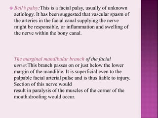  Bell’s palsy:This is a facial palsy, usually of unknown
aetiology. It has been suggested that vascular spasm of
the arteries in the facial canal supplying the nerve
might be responsible, or inflammation and swelling of
the nerve within the bony canal.
The marginal mandibular branch of the facial
nerve:This branch passes on or just below the lower
margin of the mandible. It is superficial even to the
palpable facial arterial pulse and is thus liable to injury.
Section of this nerve would
result in paralysis of the muscles of the corner of the
mouth:drooling would occur.
 