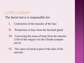 The facial nerve is responsible for:
I. Contraction of the muscles of the face
II. Production of tears from the lacrimal gland
III. Conveying the sense of taste from the anterior
2/3rd of the tongue (via the Chorda tympani
nerve)
IV. The sense of touch at part of the skin of the
auricule
 