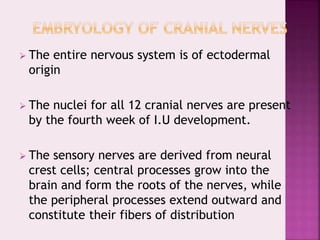  The entire nervous system is of ectodermal
origin
 The nuclei for all 12 cranial nerves are present
by the fourth week of I.U development.
 The sensory nerves are derived from neural
crest cells; central processes grow into the
brain and form the roots of the nerves, while
the peripheral processes extend outward and
constitute their fibers of distribution
 
