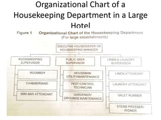 Organizational Chart of a
Housekeeping Department in a Large
Hotel
 