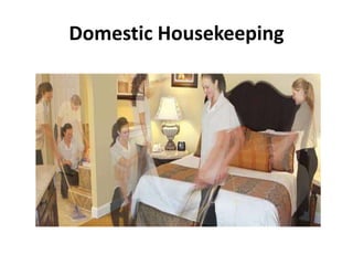 Domestic Housekeeping
 