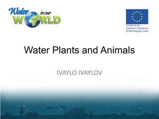 Water Plants and Animals
IVAYLO IVAYLOV
 