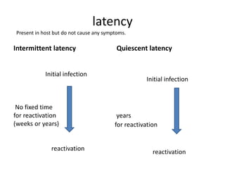 latency
Intermittent latency
Initial infection
No fixed time
for reactivation
(weeks or years)
reactivation
Quiescent latency
Initial infection
years
for reactivation
reactivation
Present in host but do not cause any symptoms.
 