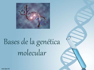 Bases de la genética
molecular
 