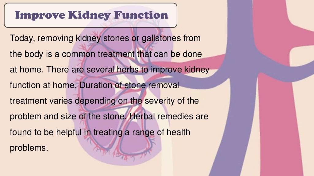 1 Supplement to Improve Kidney Function Naturally (100 Effective)