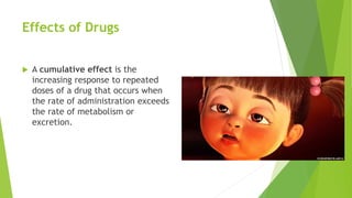 Effects of Drugs
 A cumulative effect is the
increasing response to repeated
doses of a drug that occurs when
the rate of administration exceeds
the rate of metabolism or
excretion.
 