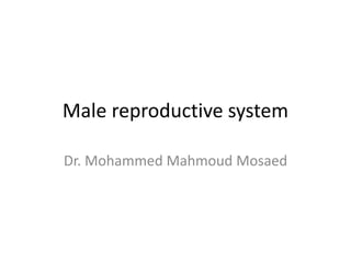 Male reproductive system
Dr. Mohammed Mahmoud Mosaed
 