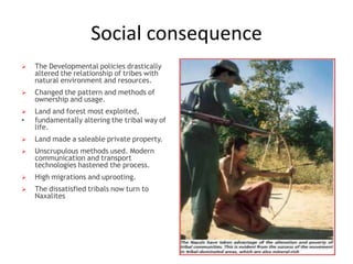 Tribes Developmental Process 1.4 tribal development in india | PPTX