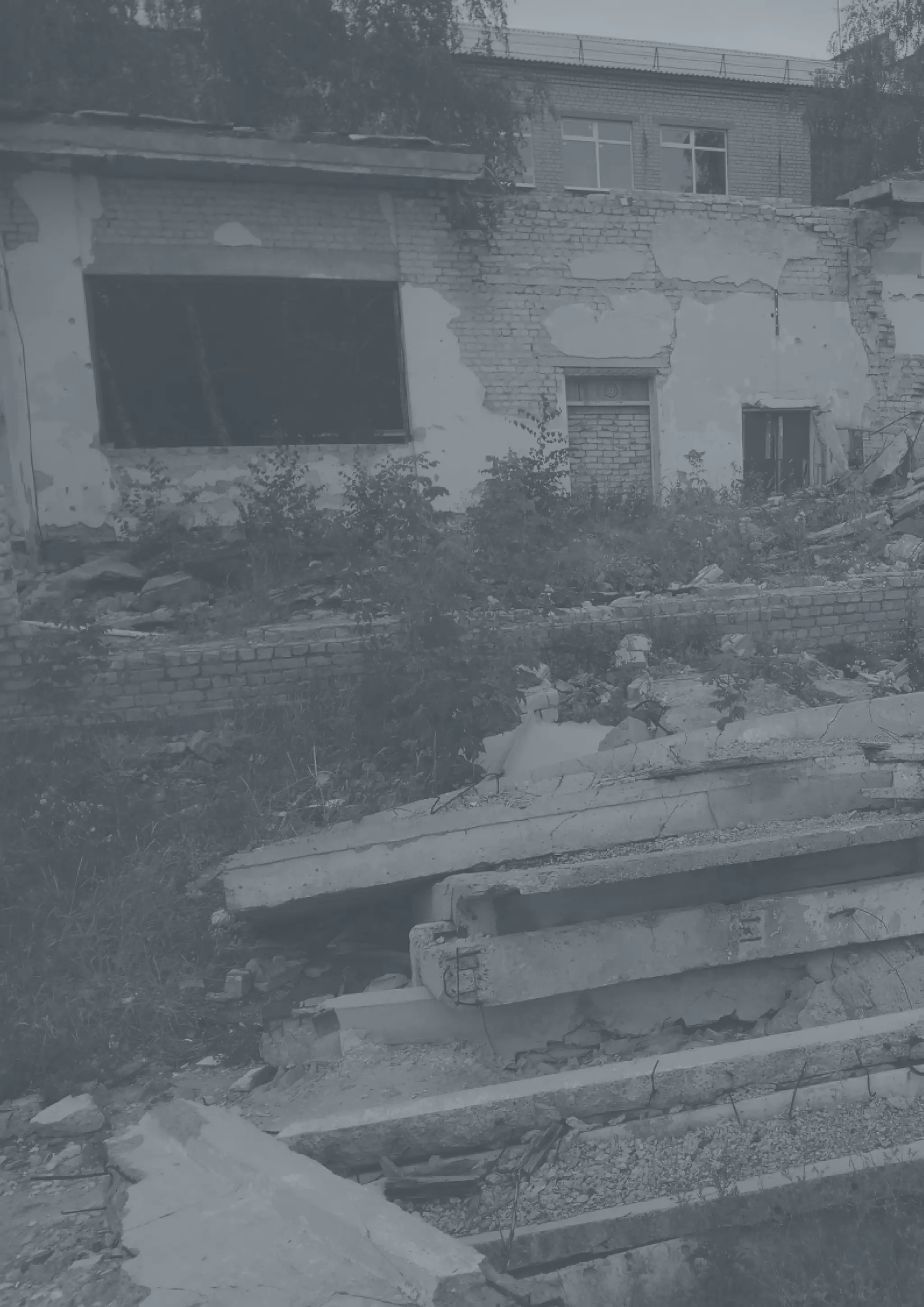 Постраждалі від конфлікту. Як Україна забезпечує реалізацію їхніх прав. Альтернативний звіт громадських організацій