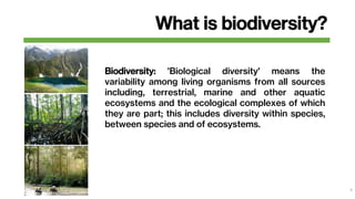 What is biodiversity?
5
Biodiversity: 'Biological diversity' means the
variability among living organisms from all sources...