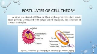 POSTULATES OF CELL THEORY
 