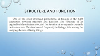 STRUCTURE AND FUNCTION
 