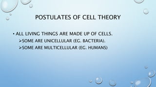POSTULATES OF CELL THEORY
• ALL LIVING THINGS ARE MADE UP OF CELLS.
SOME ARE UNICELLULAR (EG. BACTERIA).
SOME ARE MULTICELLULAR (EG. HUMANS)
 