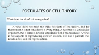 POSTULATES OF CELL THEORY
 