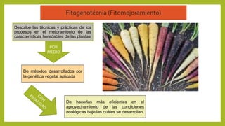Describe las técnicas y prácticas de los
procesos en el mejoramiento de las
características heredables de las plantas
De hacerlas más eficientes en el
aprovechamiento de las condiciones
ecológicas bajo las cuáles se desarrollan.
De métodos desarrollados por
la genética vegetal aplicada
POR
MEDIO
Fitogenotécnia (Fitomejoramiento)
 