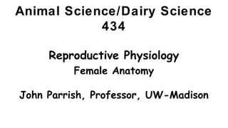 Animal Science/Dairy Science
434
Reproductive Physiology
Female Anatomy
John Parrish, Professor, UW-Madison
 