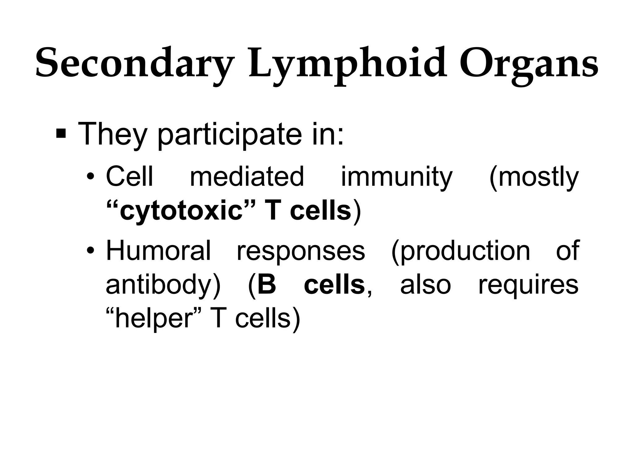 Secondary Lymphoid Organs
 They participate in:
• Cell mediated immunity (mostly
“cytotoxic” T cells)
• Humoral responses (production of
antibody) (B cells, also requires
“helper” T cells)
 