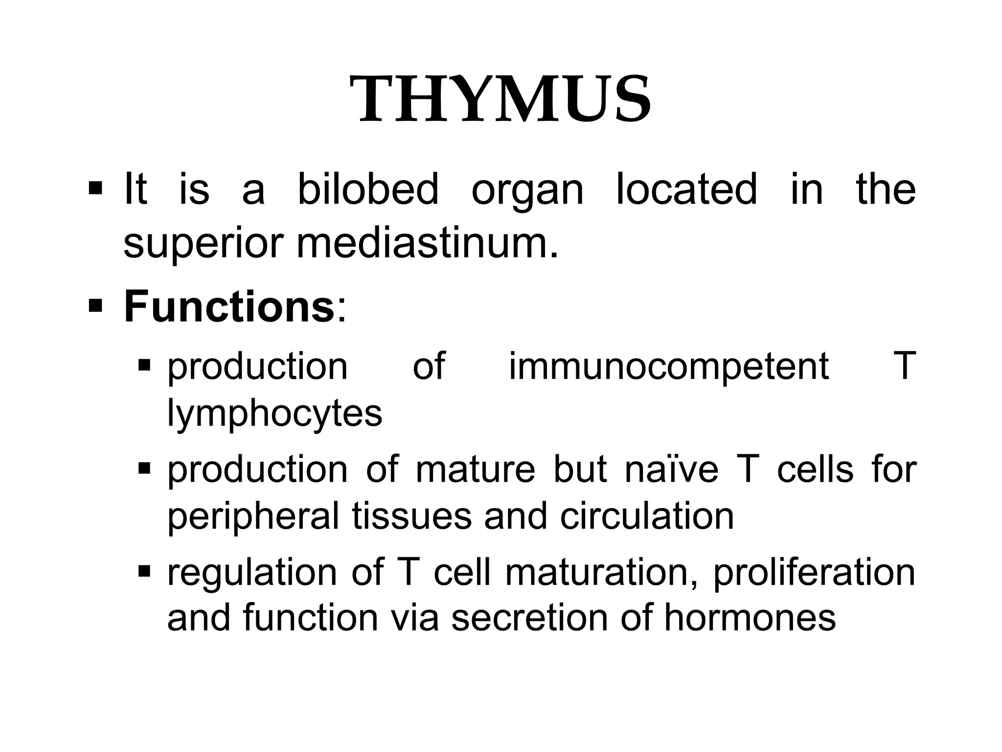 THYMUS
 It is a bilobed organ located in the
superior mediastinum.
 Functions:
 production of immunocompetent T
lymphocytes
 production of mature but naïve T cells for
peripheral tissues and circulation
 regulation of T cell maturation, proliferation
and function via secretion of hormones
 