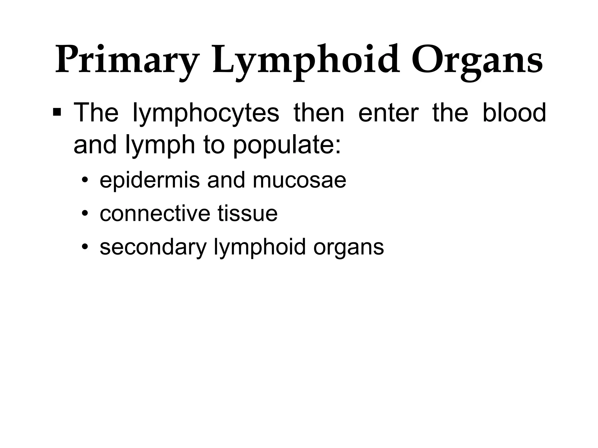 Primary Lymphoid Organs
 The lymphocytes then enter the blood
and lymph to populate:
• epidermis and mucosae
• connective tissue
• secondary lymphoid organs
 