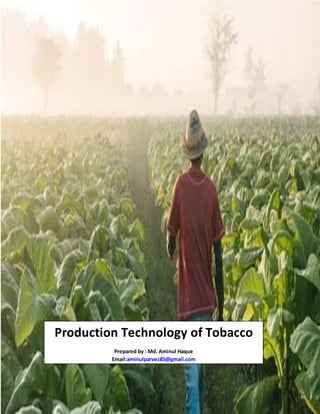 1
Production Technology of Tobacco
Prepared by : Md. Aminul Haque
Email:aminulparvez85@gmail.com
 