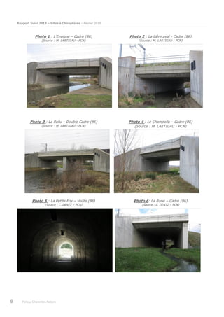 Rapport Suivi 2018 – Gîtes à Chiroptères – Février 2019
8 Poitou-Charentes Nature
Photo 1 : L’Envigne – Cadre (86)
(Source : M. LARTIGAU - PCN)
Photo 2 : La Lière aval - Cadre (86)
(Source : M. LARTIGAU - PCN)
Photo 3 : La Pallu – Double Cadre (86)
(Source : M. LARTIGAU - PCN)
Photo 4 : Le Champallu – Cadre (86)
(Source : M. LARTIGAU - PCN)
Photo 5 : La Petite Foy – Voûte (86)
(Source : C. DENTZ – PCN)
Photo 6: La Rune – Cadre (86)
(Source : C. DENTZ – PCN)
 