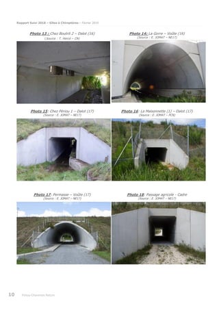 Rapport Suivi 2018 – Gîtes à Chiroptères – Février 2019
10 Poitou-Charentes Nature
Photo 13 : Chez Boutrit 2 – Dalot (16)
(Source : T. Hercé – CN)
Photo 14: La Gorre – Voûte (16)
(Source : E. JOMAT – NE17)
Photo 15: Chez Périou 1 – Dalot (17)
(Source : E. JOMAT – NE17)
Photo 16: La Maisonnette (1) – Dalot (17)
(Source : E. JOMAT – PCN)
Photo 17: Permasse – Voûte (17)
(Source : E. JOMAT – NE17)
Photo 18: Passage agricole - Cadre
(Source : E. JOMAT – NE17)
 
