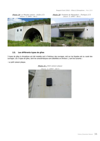 Rapport Suivi 2018 – Gîtes à Chiroptères – Mars 2019
Poitou-Charentes Nature 11
Photo 19: Le Meudon amont - Voûte (17)
(Source : E. JOMAT – NE17)
Photo 20: Fontaine de Mazaubert – Portique (17)
(Source : E. JOMAT – NE17)
2.3. Les différents types de gîtes
3 types de gîtes à chiroptères ont été installés soit à l’intérieur des ouvrages, soit sur les façades est ou ouest des
ouvrages. Les 3 types de gîtes, dont les caractéristiques sont détaillées en Annexe 1, sont les suivants :
- Le petit caisson plaque.
Photo 21 : Petit caisson plaque
(Source : E. JOMAT – NE17)
 