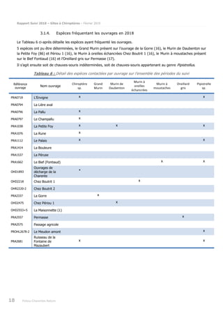 Rapport Suivi 2018 – Gîtes à Chiroptères – Février 2019
18 Poitou-Charentes Nature
3.1.4. Espèces fréquentant les ouvrages en 2018
Le Tableau 6 ci-après détaille les espèces ayant fréquenté les ouvrages.
5 espèces ont pu être déterminées, le Grand Murin présent sur l’ouvrage de la Gorre (16), le Murin de Daubenton sur
la Petite Foy (86) et Périou 1 (16), le Murin à oreilles échancrées Chez Boutrit 1 (16), le Murin à moustaches présent
sur le Bief Fontiaud (16) et l’Oreillard gris sur Permasse (17).
Il s’agit ensuite soit de chauves-souris indéterminées, soit de chauves-souris appartenant au genre Pipistrellus.
Tableau 6 : Détail des espèces contactées par ouvrage sur l’ensemble des périodes du suivi
Référence
ouvrage
Nom ouvrage
Chiroptère
sp.
Grand
Murin
Murin de
Daubenton
Murin à
oreilles
échancrées
Murin à
moustaches
Oreillard
gris
Pipistrelle
sp.
PRA0718 L’Envigne x x
PRA0794 La Lière aval
PRA0796 La Pallu x
PRA0797 Le Champallu x
PRA1038 La Petite Foy x x x
PRA1076 La Rune x
PRA1112 Le Palais x x
PRA1414 La Bouleure
PRA1537 La Péruse
PRA1662 Le Bief (Fontiaud) x x
OHD1893
Ouvrages de
décharge de la
Charente
*
OHD2218 Chez Boutrit 1 x
OHR2220-2 Chez Boutrit 2
PRA2337 La Gorre x
OHD2475 Chez Périou 1 x
OHD2553+5 La Maisonnette (1)
PRA2557 Permasse x
PRA2575 Passage agricole
PROHL2678-2 Le Meudon amont x
PRA2681
Ruisseau de la
Fontaine de
Mazaubert
x x
 