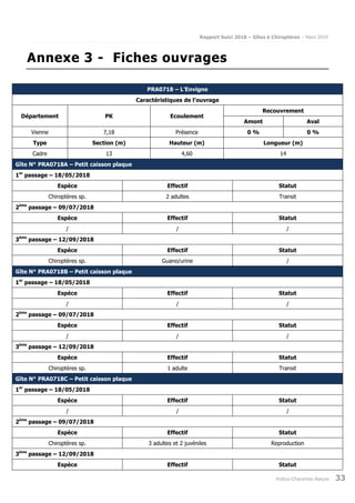 Rapport Suivi 2018 – Gîtes à Chiroptères – Mars 2019
Poitou-Charentes Nature 33
Annexe 3 - Fiches ouvrages
PRA0718 – L’Envigne
Caractéristiques de l’ouvrage
Département PK Ecoulement
Recouvrement
Amont Aval
Vienne 7,18 Présence 0 % 0 %
Type Section (m) Hauteur (m) Longueur (m)
Cadre 13 4,60 14
Gîte N° PRA0718A – Petit caisson plaque
1er
passage – 18/05/2018
Espèce Effectif Statut
Chiroptères sp. 2 adultes Transit
2ème
passage – 09/07/2018
Espèce Effectif Statut
/ / /
3ème
passage – 12/09/2018
Espèce Effectif Statut
Chiroptères sp. Guano/urine /
Gîte N° PRA0718B – Petit caisson plaque
1er
passage – 18/05/2018
Espèce Effectif Statut
/ / /
2ème
passage – 09/07/2018
Espèce Effectif Statut
/ / /
3ème
passage – 12/09/2018
Espèce Effectif Statut
Chiroptères sp. 1 adulte Transit
Gîte N° PRA0718C – Petit caisson plaque
1er
passage – 18/05/2018
Espèce Effectif Statut
/ / /
2ème
passage – 09/07/2018
Espèce Effectif Statut
Chiroptères sp. 3 adultes et 2 juvéniles Reproduction
3ème
passage – 12/09/2018
Espèce Effectif Statut
 