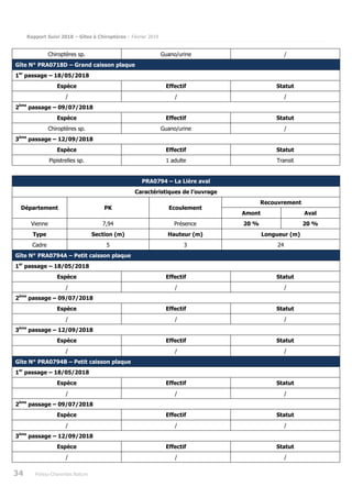 Rapport Suivi 2018 – Gîtes à Chiroptères – Février 2019
34 Poitou-Charentes Nature
Chiroptères sp. Guano/urine /
Gîte N° PRA0718D – Grand caisson plaque
1er
passage – 18/05/2018
Espèce Effectif Statut
/ / /
2ème
passage – 09/07/2018
Espèce Effectif Statut
Chiroptères sp. Guano/urine /
3ème
passage – 12/09/2018
Espèce Effectif Statut
Pipistrelles sp. 1 adulte Transit
PRA0794 – La Lière aval
Caractéristiques de l’ouvrage
Département PK Ecoulement
Recouvrement
Amont Aval
Vienne 7,94 Présence 20 % 20 %
Type Section (m) Hauteur (m) Longueur (m)
Cadre 5 3 24
Gîte N° PRA0794A – Petit caisson plaque
1er
passage – 18/05/2018
Espèce Effectif Statut
/ / /
2ème
passage – 09/07/2018
Espèce Effectif Statut
/ / /
3ème
passage – 12/09/2018
Espèce Effectif Statut
/ / /
Gîte N° PRA0794B – Petit caisson plaque
1er
passage – 18/05/2018
Espèce Effectif Statut
/ / /
2ème
passage – 09/07/2018
Espèce Effectif Statut
/ / /
3ème
passage – 12/09/2018
Espèce Effectif Statut
/ / /
 