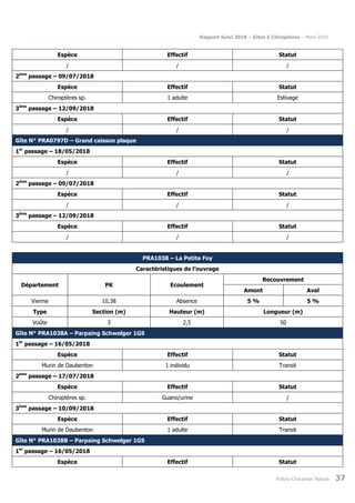 Rapport Suivi 2018 – Gîtes à Chiroptères – Mars 2019
Poitou-Charentes Nature 37
Espèce Effectif Statut
/ / /
2ème
passage – 09/07/2018
Espèce Effectif Statut
Chiroptères sp. 1 adulte Estivage
3ème
passage – 12/09/2018
Espèce Effectif Statut
/ / /
Gîte N° PRA0797D – Grand caisson plaque
1er
passage – 18/05/2018
Espèce Effectif Statut
/ / /
2ème
passage – 09/07/2018
Espèce Effectif Statut
/ / /
3ème
passage – 12/09/2018
Espèce Effectif Statut
/ / /
PRA1038 – La Petite Foy
Caractéristiques de l’ouvrage
Département PK Ecoulement
Recouvrement
Amont Aval
Vienne 10,38 Absence 5 % 5 %
Type Section (m) Hauteur (m) Longueur (m)
Voûte 3 2,5 50
Gîte N° PRA1038A – Parpaing Schwelger 1GS
1er
passage – 16/05/2018
Espèce Effectif Statut
Murin de Daubenton 1 individu Transit
2ème
passage – 17/07/2018
Espèce Effectif Statut
Chiroptères sp. Guano/urine /
3ème
passage – 10/09/2018
Espèce Effectif Statut
Murin de Daubenton 1 adulte Transit
Gîte N° PRA1038B – Parpaing Schwelger 1GS
1er
passage – 16/05/2018
Espèce Effectif Statut
 