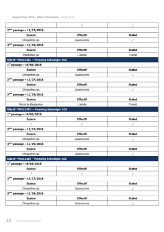 Rapport Suivi 2018 – Gîtes à Chiroptères – Février 2019
38 Poitou-Charentes Nature
/ / /
2ème
passage – 17/07/2018
Espèce Effectif Statut
Chiroptères sp. Guano/urine /
3ème
passage – 10/09/2018
Espèce Effectif Statut
Pipistrelles sp. 1 adulte Transit
Gîte N° PRA1038C – Parpaing Schwelger 1GS
1er
passage – 16/05/2018
Espèce Effectif Statut
Chiroptères sp. Guano/urine /
2ème
passage – 17/07/2018
Espèce Effectif Statut
Chiroptères sp. Guano/urine /
3ème
passage – 10/09/2018
Espèce Effectif Statut
Murin de Daubenton 1 adulte Transit
Gîte N° PRA1038D – Parpaing Schwelger 1GS
1er
passage – 16/05/2018
Espèce Effectif Statut
/ / /
2ème
passage – 17/07/2018
Espèce Effectif Statut
Chiroptères sp. Guano/urine /
3ème
passage – 10/09/2018
Espèce Effectif Statut
Chiroptères sp. Guano/urine /
Gîte N° PRA1038E – Parpaing Schwelger 1GS
1er
passage – 16/05/2018
Espèce Effectif Statut
/ / /
2ème
passage – 17/07/2018
Espèce Effectif Statut
Chiroptères sp. Guano/urine /
3ème
passage – 10/09/2018
Espèce Effectif Statut
Chiroptères sp. Guano/urine /
 