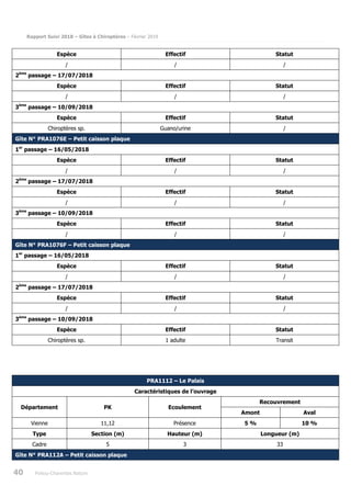 Rapport Suivi 2018 – Gîtes à Chiroptères – Février 2019
40 Poitou-Charentes Nature
Espèce Effectif Statut
/ / /
2ème
passage – 17/07/2018
Espèce Effectif Statut
/ / /
3ème
passage – 10/09/2018
Espèce Effectif Statut
Chiroptères sp. Guano/urine /
Gîte N° PRA1076E – Petit caisson plaque
1er
passage – 16/05/2018
Espèce Effectif Statut
/ / /
2ème
passage – 17/07/2018
Espèce Effectif Statut
/ / /
3ème
passage – 10/09/2018
Espèce Effectif Statut
/ / /
Gîte N° PRA1076F – Petit caisson plaque
1er
passage – 16/05/2018
Espèce Effectif Statut
/ / /
2ème
passage – 17/07/2018
Espèce Effectif Statut
/ / /
3ème
passage – 10/09/2018
Espèce Effectif Statut
Chiroptères sp. 1 adulte Transit
PRA1112 – Le Palais
Caractéristiques de l’ouvrage
Département PK Ecoulement
Recouvrement
Amont Aval
Vienne 11,12 Présence 5 % 10 %
Type Section (m) Hauteur (m) Longueur (m)
Cadre 5 3 33
Gîte N° PRA112A – Petit caisson plaque
 