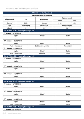 Rapport Suivi 2018 – Gîtes à Chiroptères – Février 2019
44 Poitou-Charentes Nature
PRA1662 – Le Bief (Fontiaud)
Caractéristiques de l’ouvrage
Département PK Ecoulement
Recouvrement
Amont Aval
Charente 16,62 Absence 0 % 0 %
Type Section (m) Hauteur (m) Longueur (m)
Voûte (2) 9 5,5 33
Gîte N° PRA1662A – Parpaing Schwelger 1GS
1er
passage – 17/05/2018
Espèce Effectif Statut
/ / /
2ème
passage – 20/07/2018
Espèce Effectif Statut
Murin à moustaches 3 adultes et 3 juvéniles Reproduction
3ème
passage – 19/09/2018
Espèce Effectif Statut
Murin à moustaches 1 juvénile Transit
Gîte N° PRA1662B – Parpaing Schwelger 1GS
1er
passage – 17/05/2018
Espèce Effectif Statut
/ / /
2ème
passage – 20/07/2018
Espèce Effectif Statut
/ / /
3ème
passage – 19/09/2018
Espèce Effectif Statut
/ / /
Gîte N° PRA1662C – Parpaing Schwelger 1GS
1er
passage – 17/05/2018
Espèce Effectif Statut
/ / /
2ème
passage – 20/07/2018
Espèce Effectif Statut
/ / /
3ème
passage – 19/09/2018
Espèce Effectif Statut
Murin à moustaches 3 adultes Transit
Gîte N° PRA1662D – Parpaing Schwelger 1GS
1er
passage – 17/05/2018
 