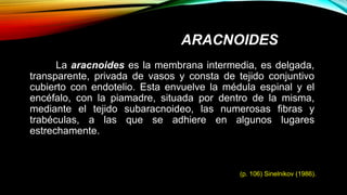 ARACNOIDES
La aracnoides es la membrana intermedia, es delgada,
transparente, privada de vasos y consta de tejido conjuntivo
cubierto con endotelio. Esta envuelve la médula espinal y el
encéfalo, con la piamadre, situada por dentro de la misma,
mediante el tejido subaracnoideo, las numerosas fibras y
trabéculas, a las que se adhiere en algunos lugares
estrechamente.
(p. 106) Sinelnikov (1986).
 