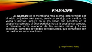 PIAMADRE
La piamadre es la membrana más interna, está formada por
el tejido conjuntivo laxo, suave, en el cual se aloja gran cantidad de
vasos y nervios. Incluye en sí los vasos que penetran en la
substancia cerebral; al acompañarlos hasta la substancia cerebral,
la piamadre forma alrededor de las mismas vainas y fisuras
estrechas, llamadas cavidades perivasculares, que comunican con
las cavidades subaracnoideas.
(p. 109) Sinelnikov (1986).
 