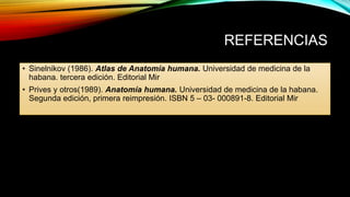REFERENCIAS
• Sinelnikov (1986). Atlas de Anatomía humana. Universidad de medicina de la
habana. tercera edición. Editorial Mir
• Prives y otros(1989). Anatomía humana. Universidad de medicina de la habana.
Segunda edición, primera reimpresión. ISBN 5 – 03- 000891-8. Editorial Mir
 