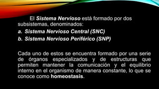 El Sistema Nervioso está formado por dos
subsistemas, denominados:
a. Sistema Nervioso Central (SNC)
b. Sistema Nervioso Periférico (SNP)
Cada uno de estos se encuentra formado por una serie
de órganos especializados y de estructuras que
permiten mantener la comunicación y el equilibrio
interno en el organismo de manera constante, lo que se
conoce como homeostasis.
 