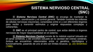 SISTEMA NERVIOSO CENTRAL
(SNC)
El Sistema Nervioso Central (SNC) se encarga de mantener la
comunicación, coordinación y el control general. También controla los millones
de células nerviosas (neuronas), conectadas entre sí y con diferentes órganos
para recibir y transmitir estímulos y originar respuestas complejas y
coherentes.
El SNC es el principal centro de control, que actúa debido a órganos
nerviosos de mayor responsabilidad en el sistema.
El Sistema Nervioso Central consta de la médula espinal (situada en
el canal vertebral), y del encéfalo (situado en la cavidad del cráneo cerebral).
Ambos se encuentran relacionados entre sí genética, morfológica y
funcionalmente, pasando de uno al otro sin límites bruscos. (p. 22) Sinelnikov
(1986).
 