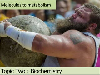 Molecules to metabolism
Topic Two : Biochemistry
 